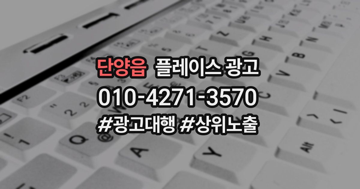 단양읍 플레이스 광고