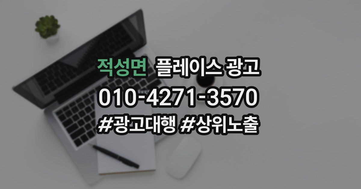 적성면 플레이스 광고