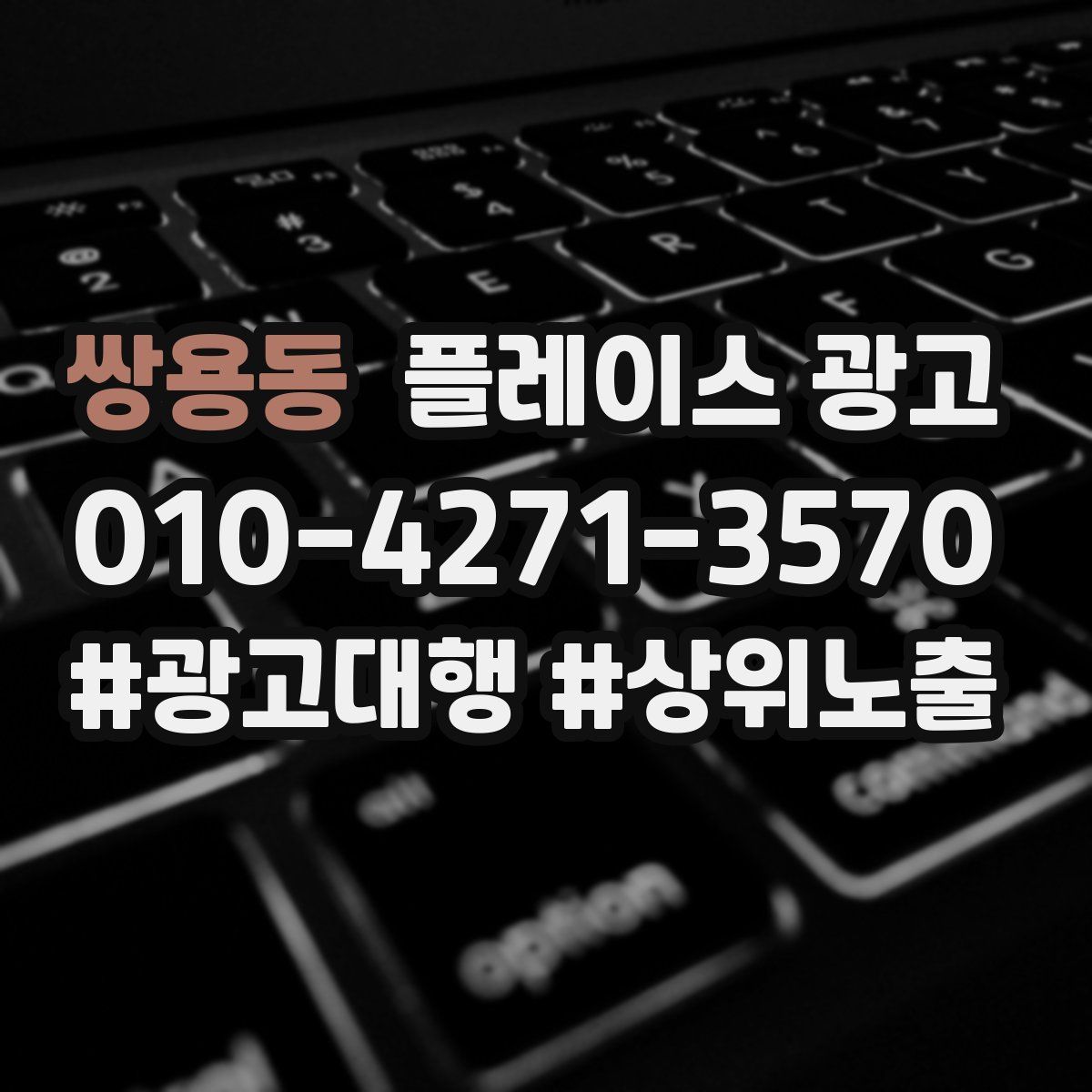 쌍용동 플레이스 광고