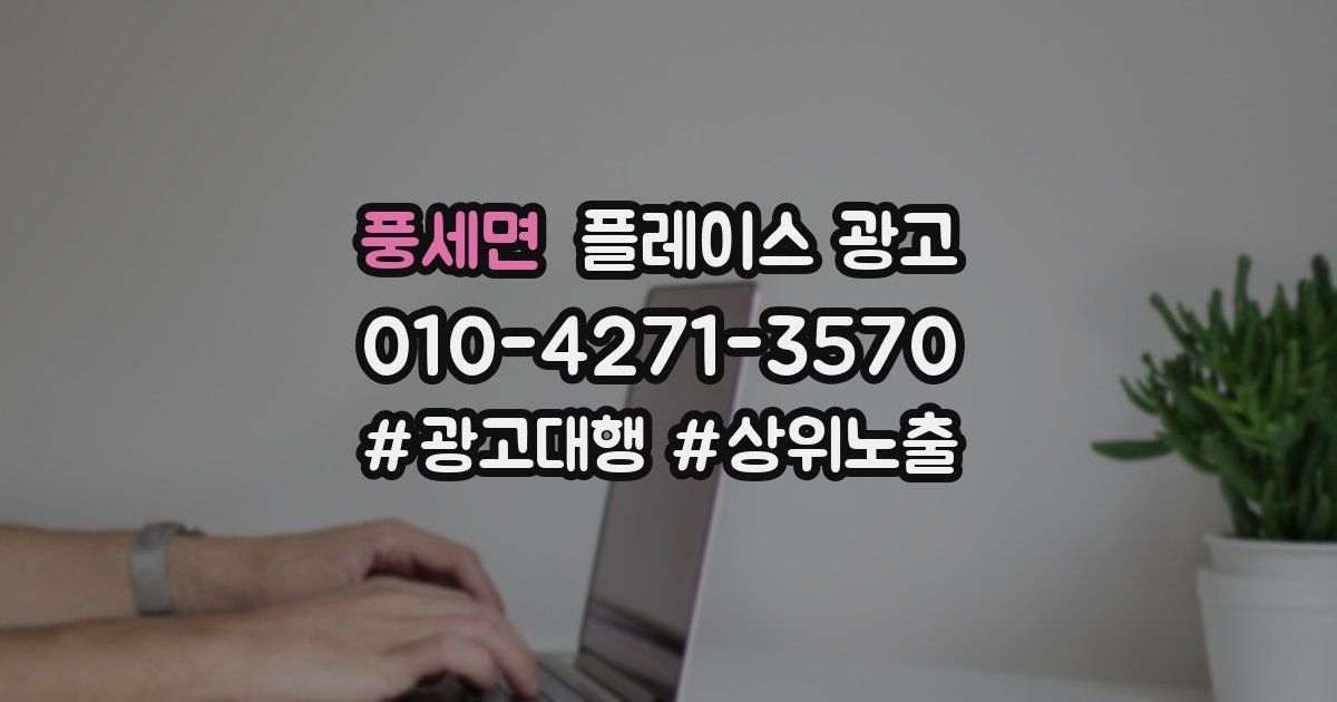풍세면 플레이스 광고