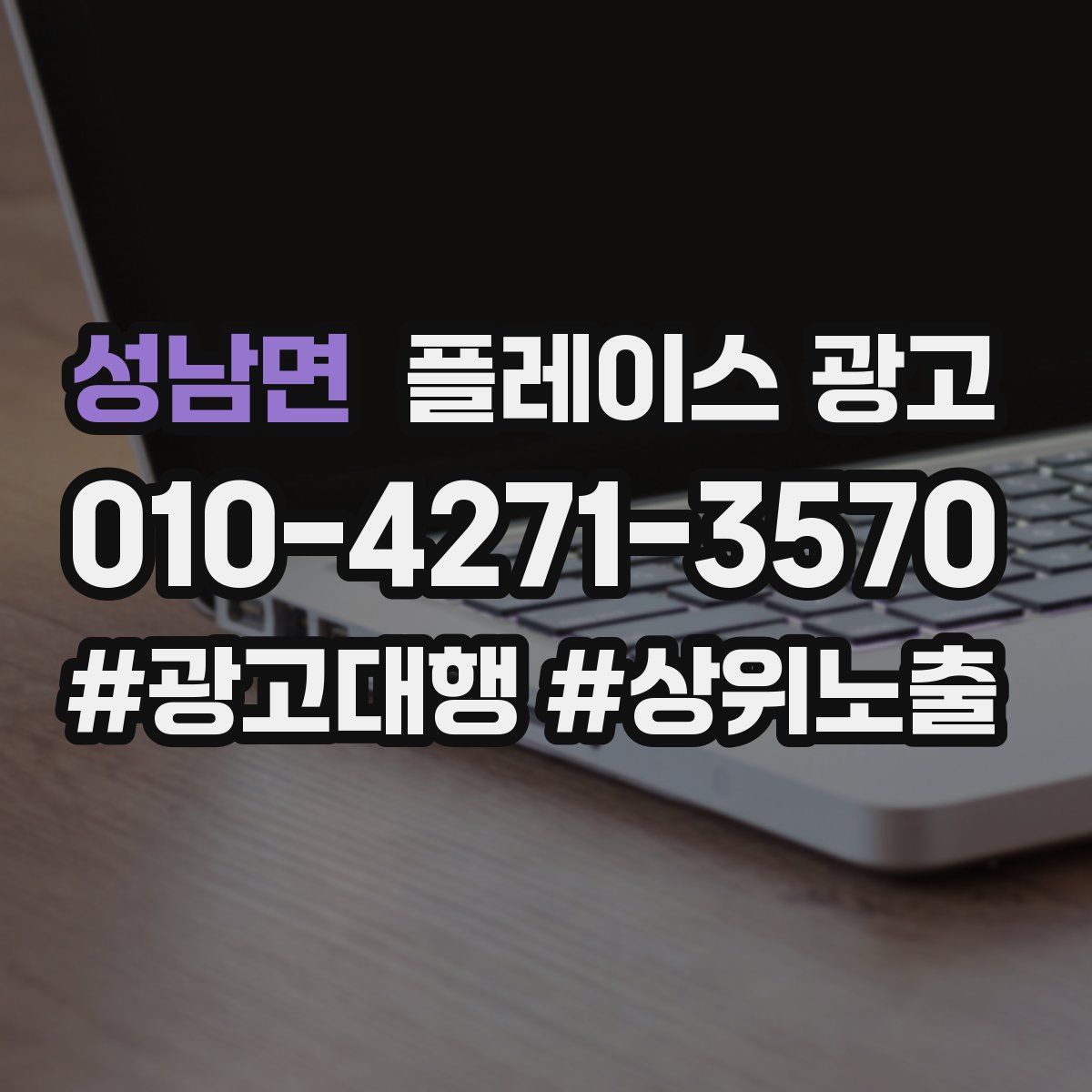 성남면 플레이스 광고