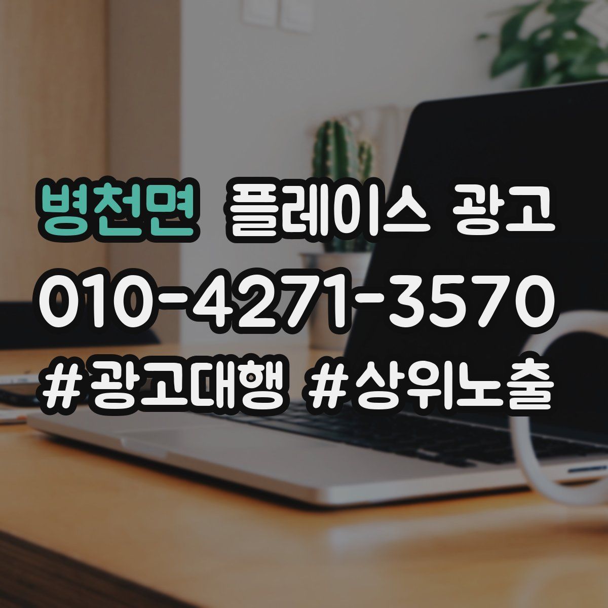 병천면 플레이스 광고