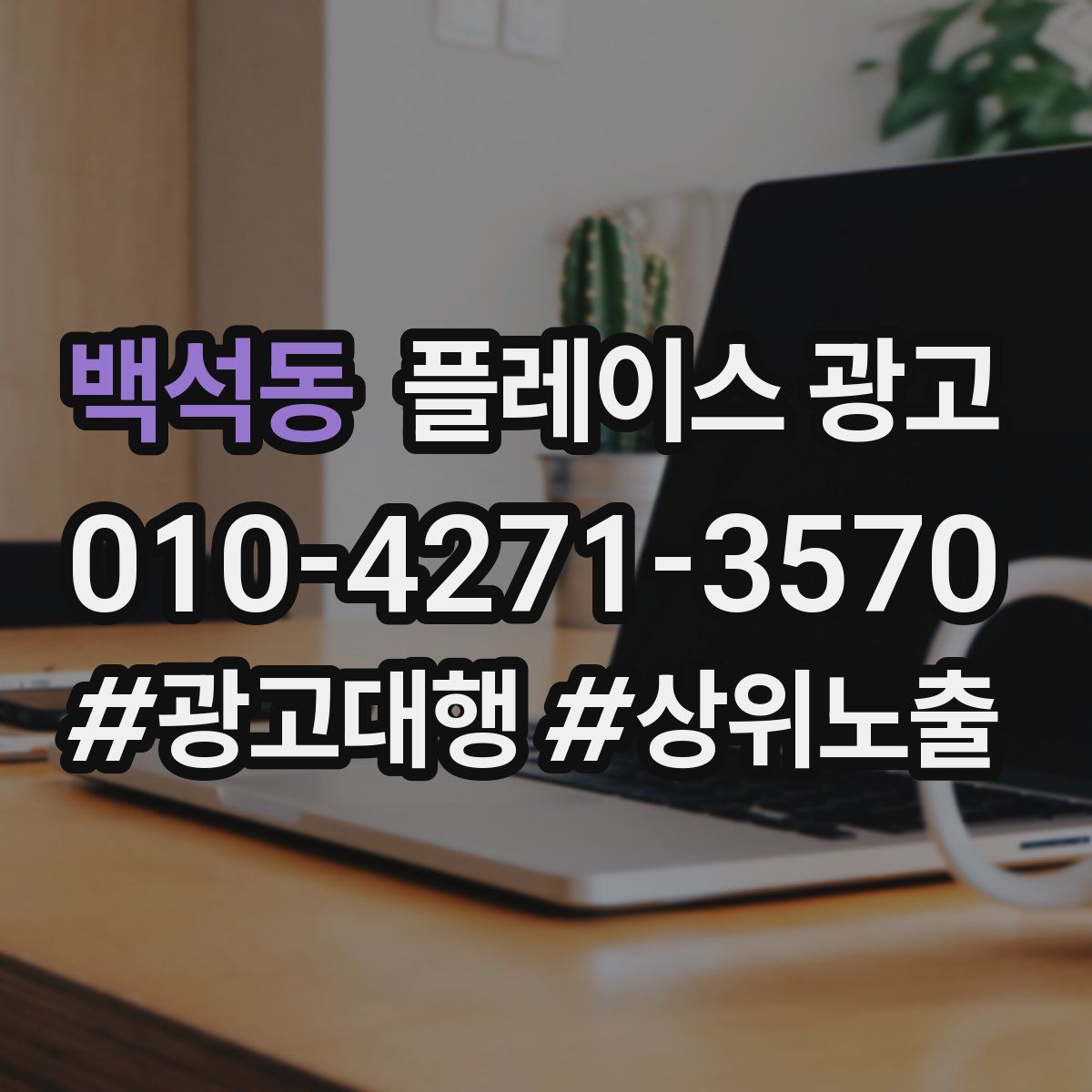 백석동 플레이스 광고