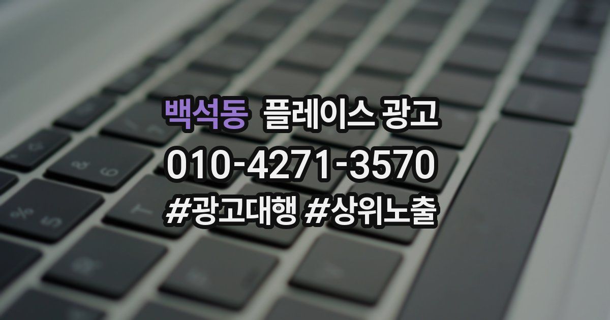 백석동 플레이스 광고