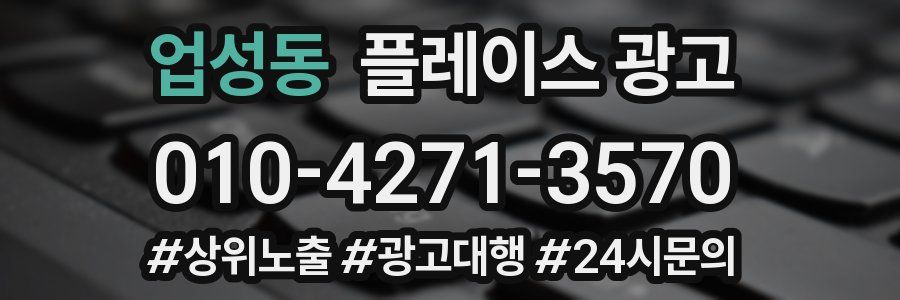 업성동 플레이스 광고