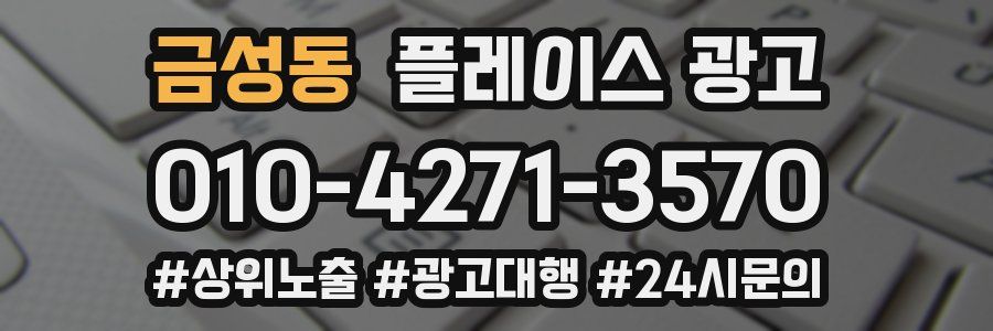 금성동 플레이스 광고