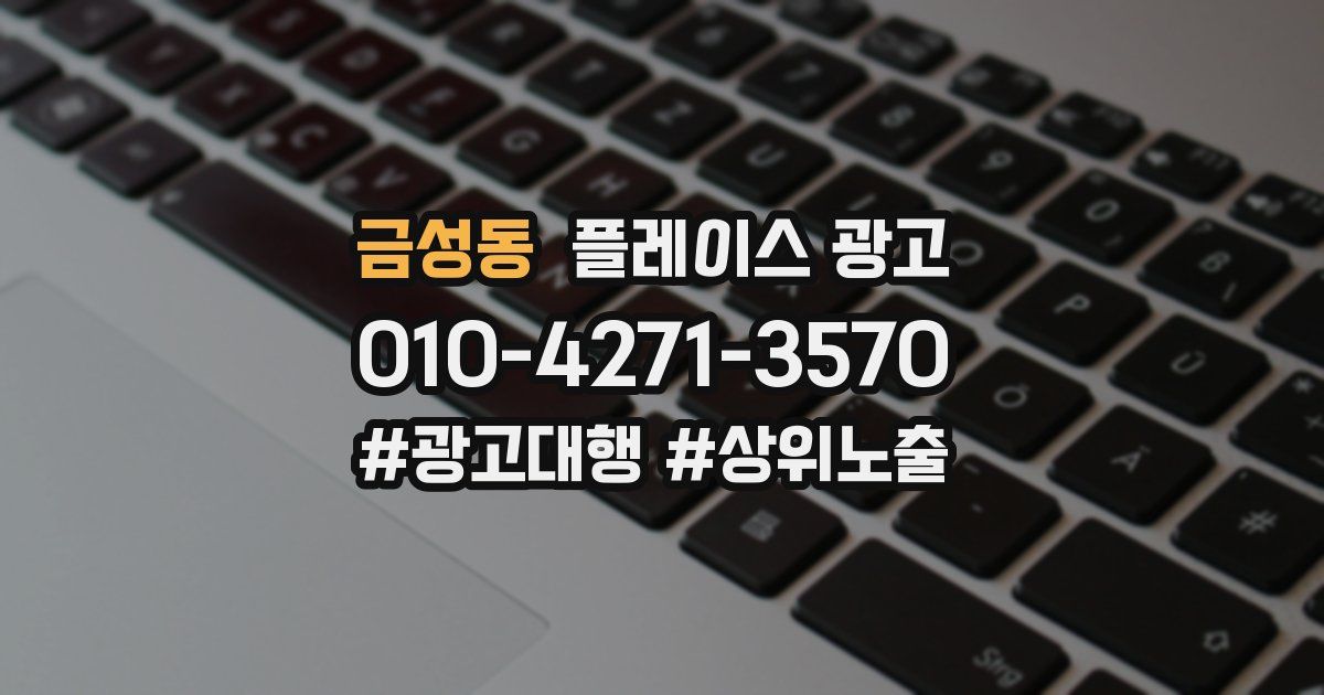 금성동 플레이스 광고