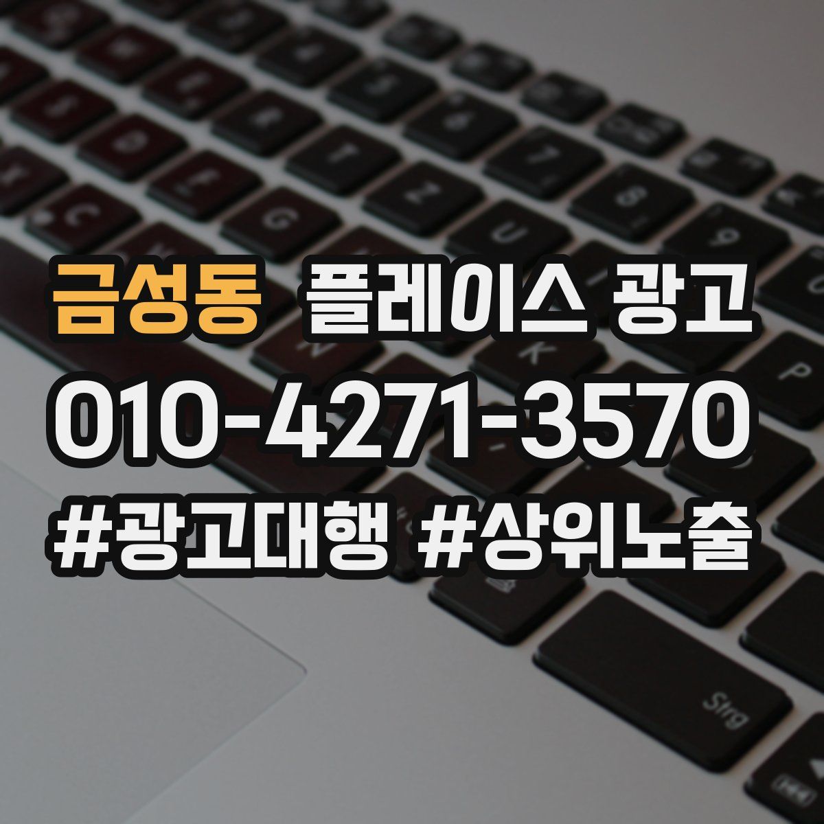 금성동 플레이스 광고