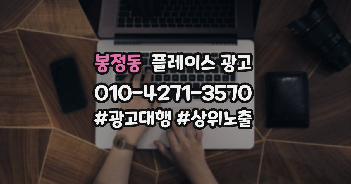 봉정동 플레이스 광고