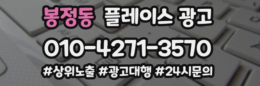 봉정동 플레이스 광고