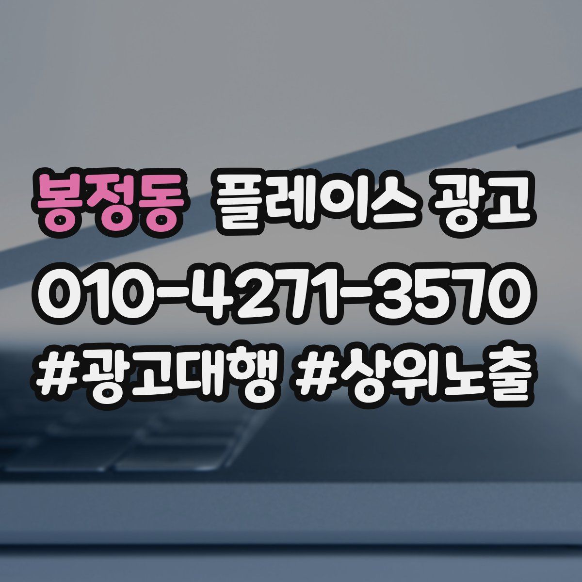 봉정동 플레이스 광고