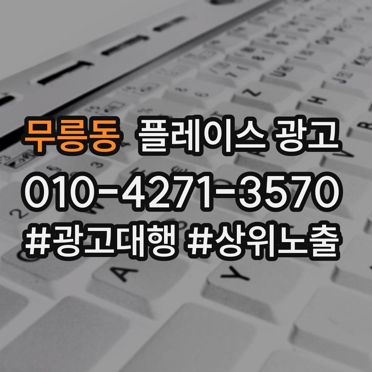 무릉동 플레이스 광고