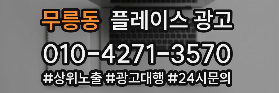 무릉동 플레이스 광고