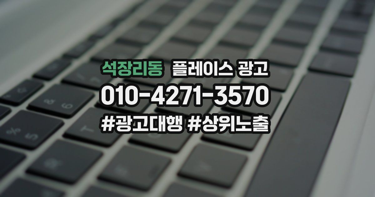 석장리동 플레이스 광고
