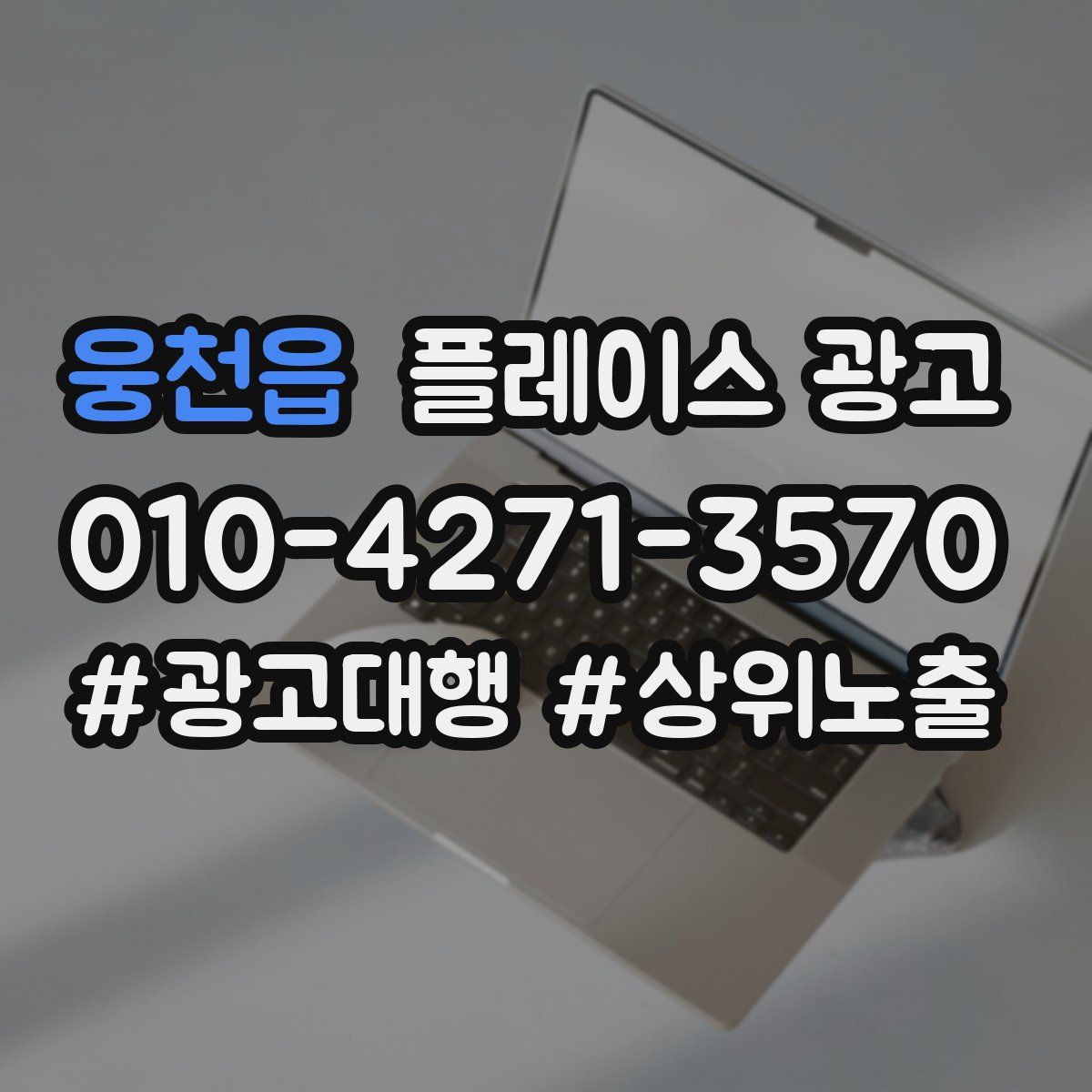 웅천읍 플레이스 광고