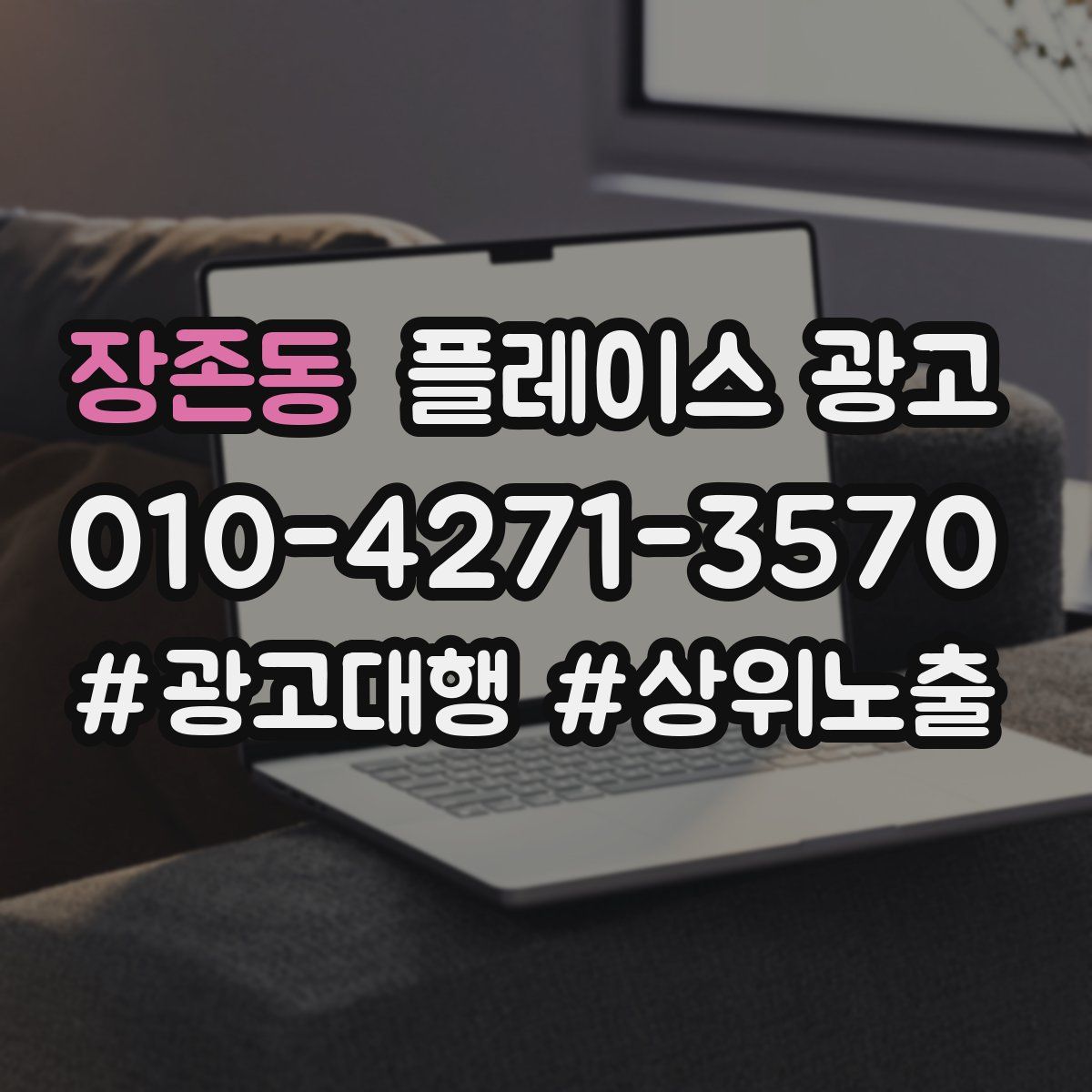 장존동 플레이스 광고