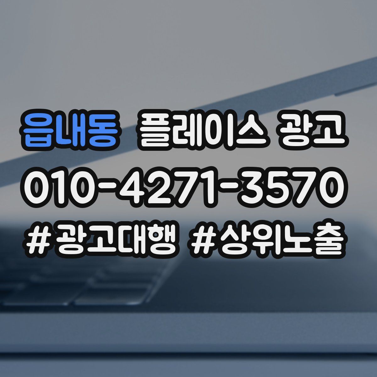 읍내동 플레이스 광고