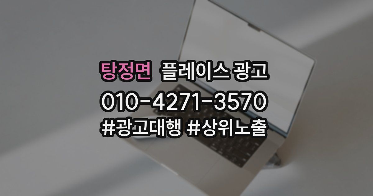 탕정면 플레이스 광고