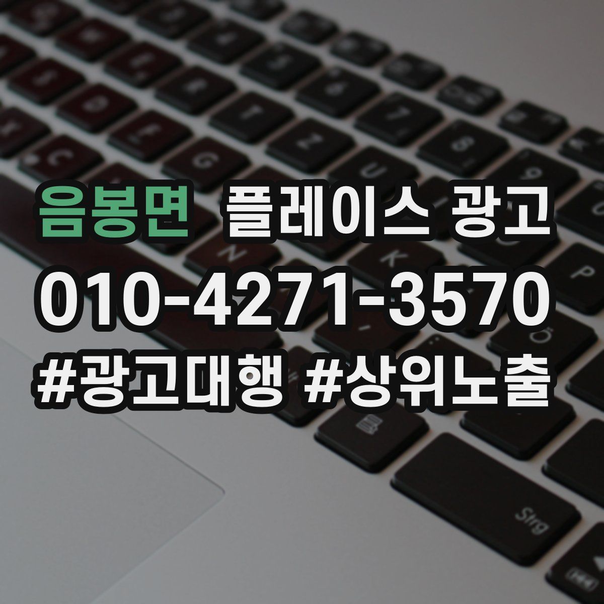 음봉면 플레이스 광고