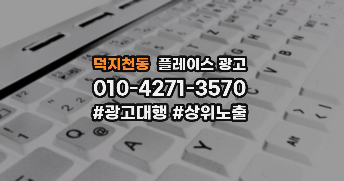 덕지천동 플레이스 광고