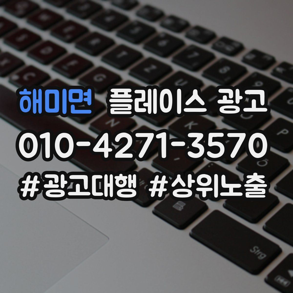 해미면 플레이스 광고