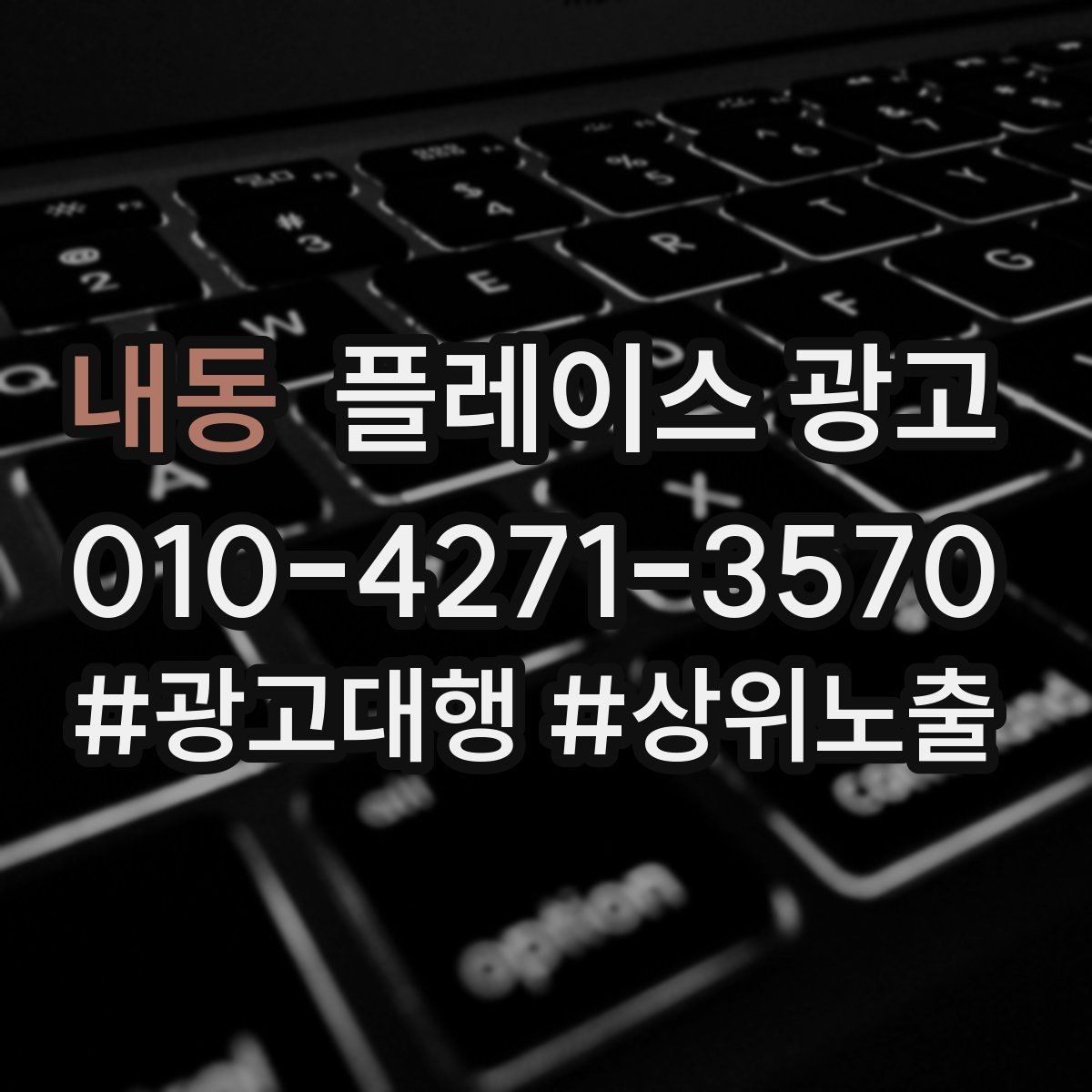 내동 플레이스 광고