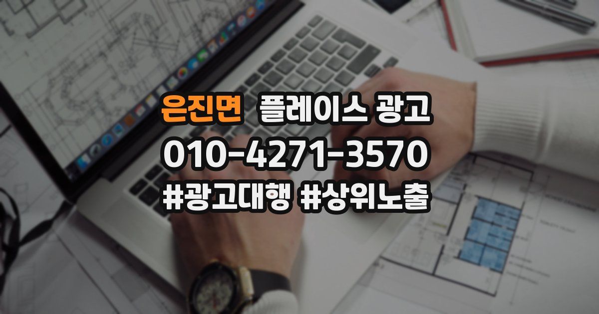 은진면 플레이스 광고