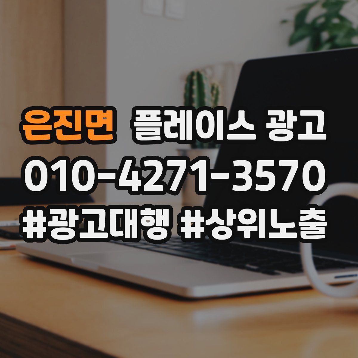 은진면 플레이스 광고