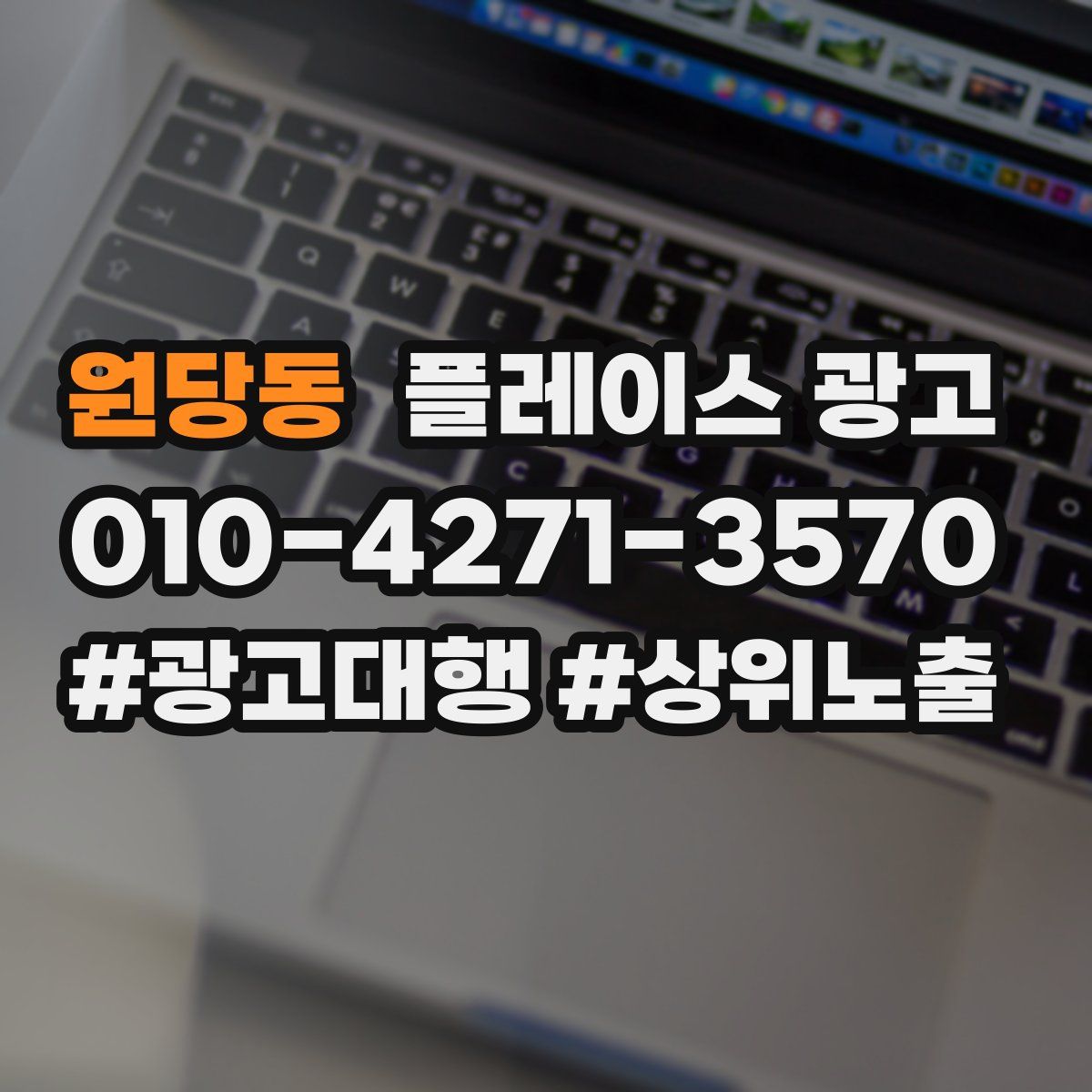 원당동 플레이스 광고