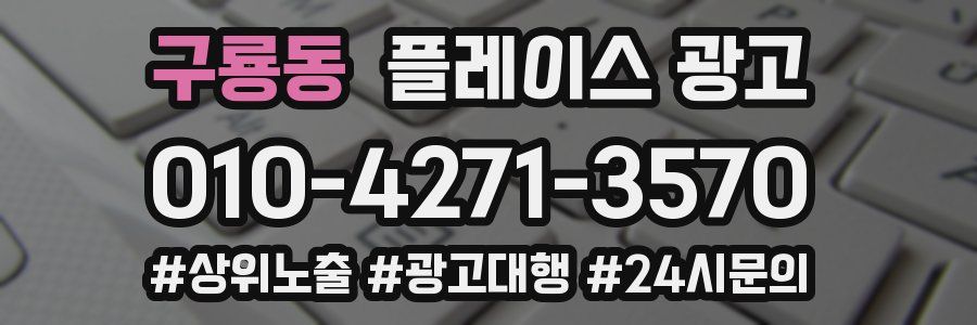 구룡동 플레이스 광고