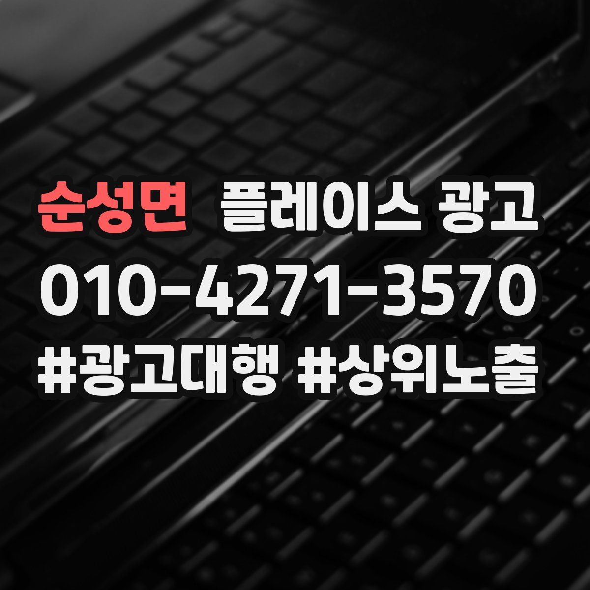 순성면 플레이스 광고