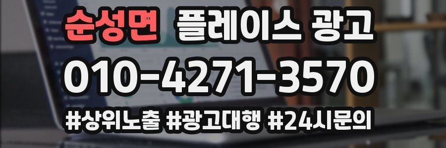 순성면 플레이스 광고