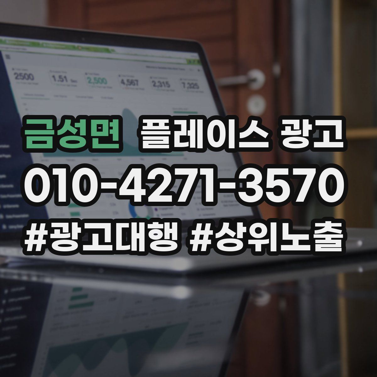 금성면 플레이스 광고