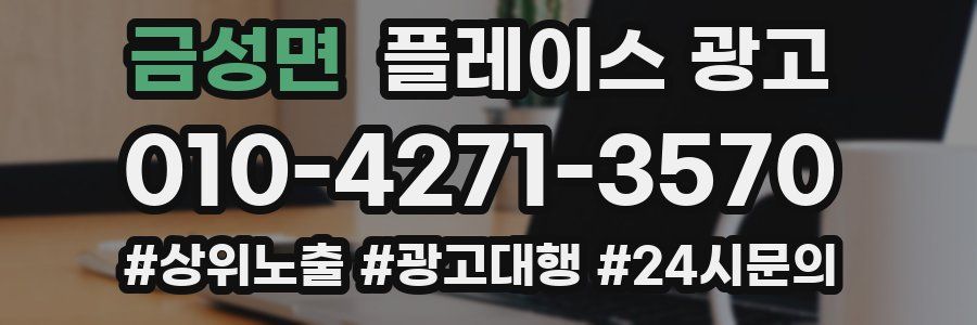 금성면 플레이스 광고