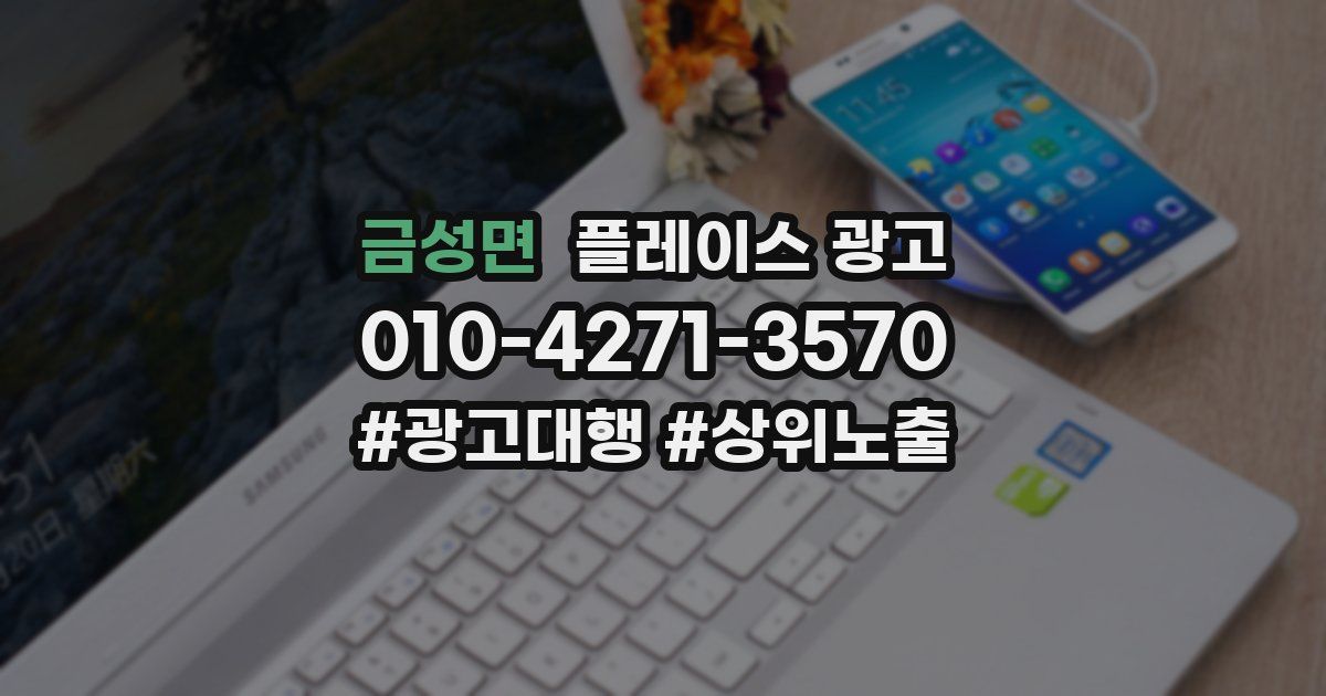 금성면 플레이스 광고