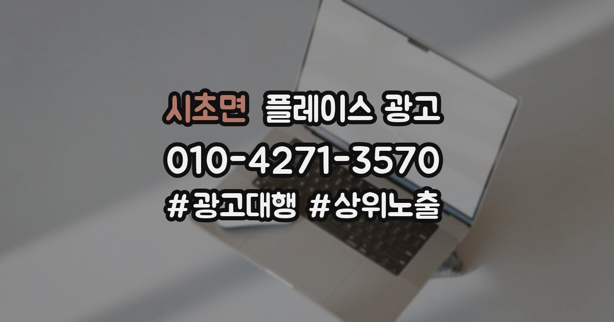 시초면 플레이스 광고
