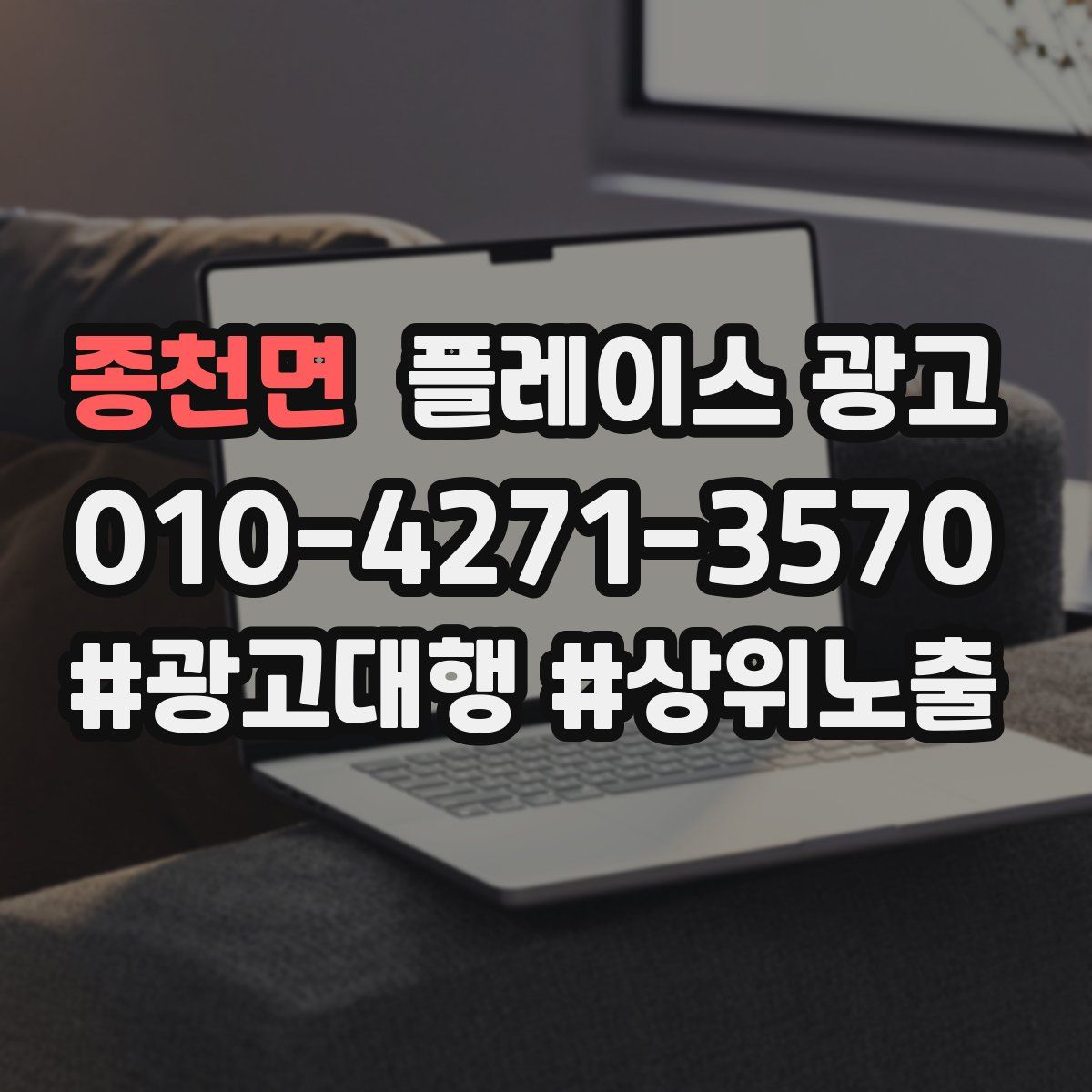 종천면 플레이스 광고