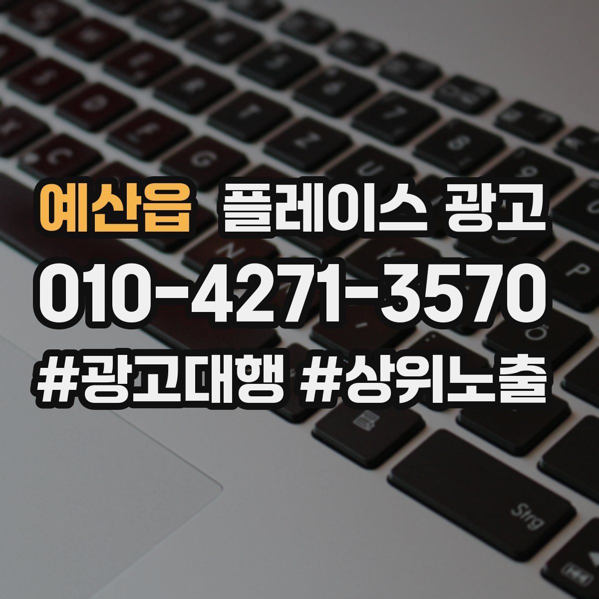 예산읍 플레이스 광고