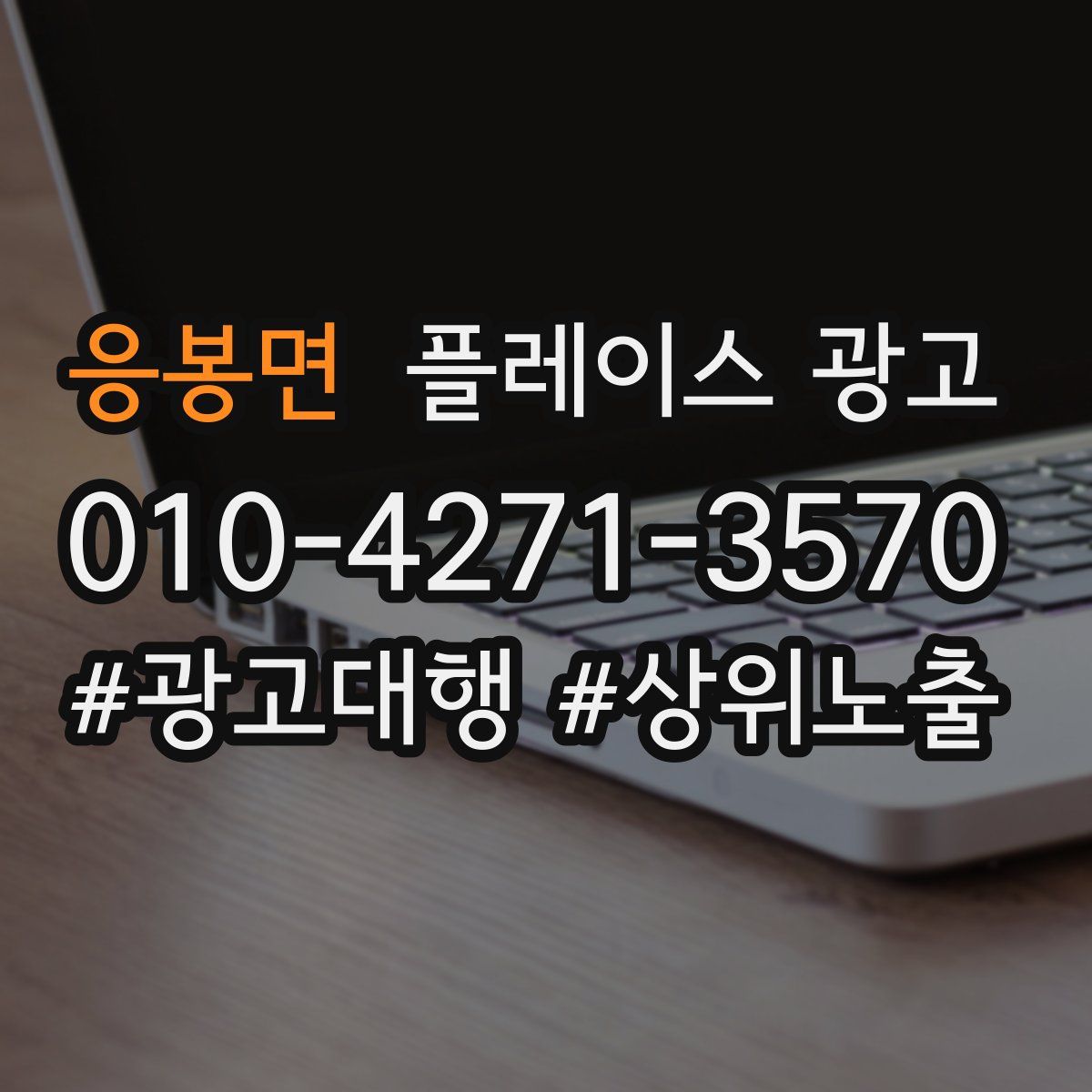 응봉면 플레이스 광고