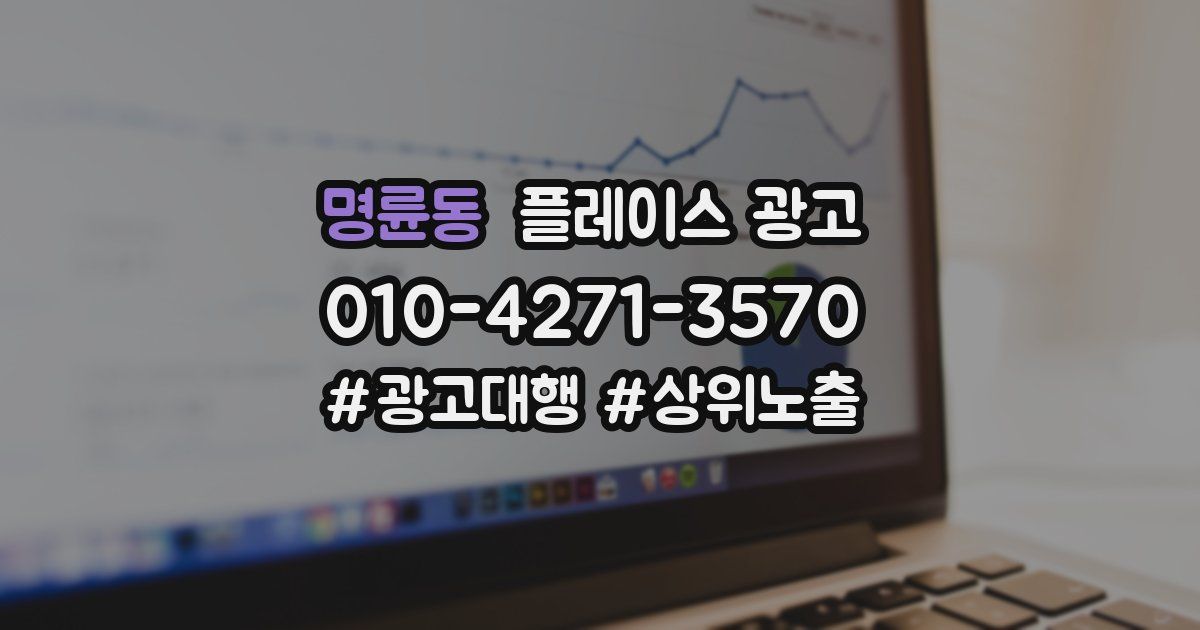 명륜동 플레이스 광고