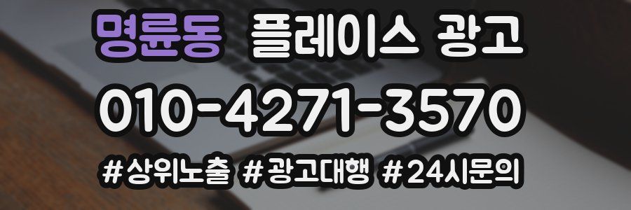 명륜동 플레이스 광고