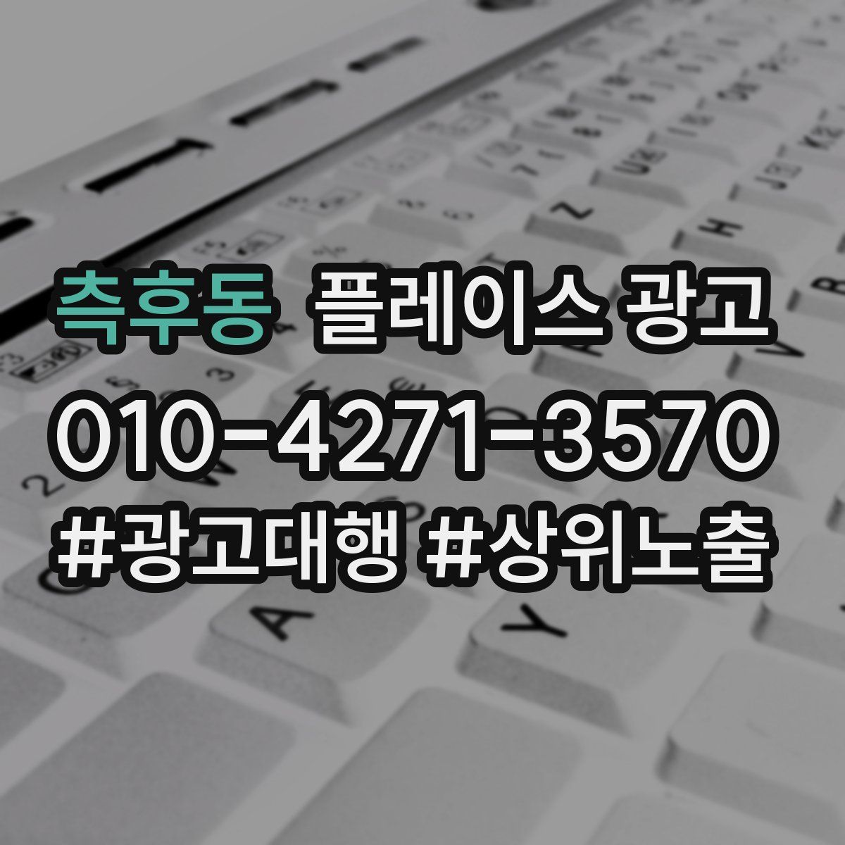 측후동 플레이스 광고