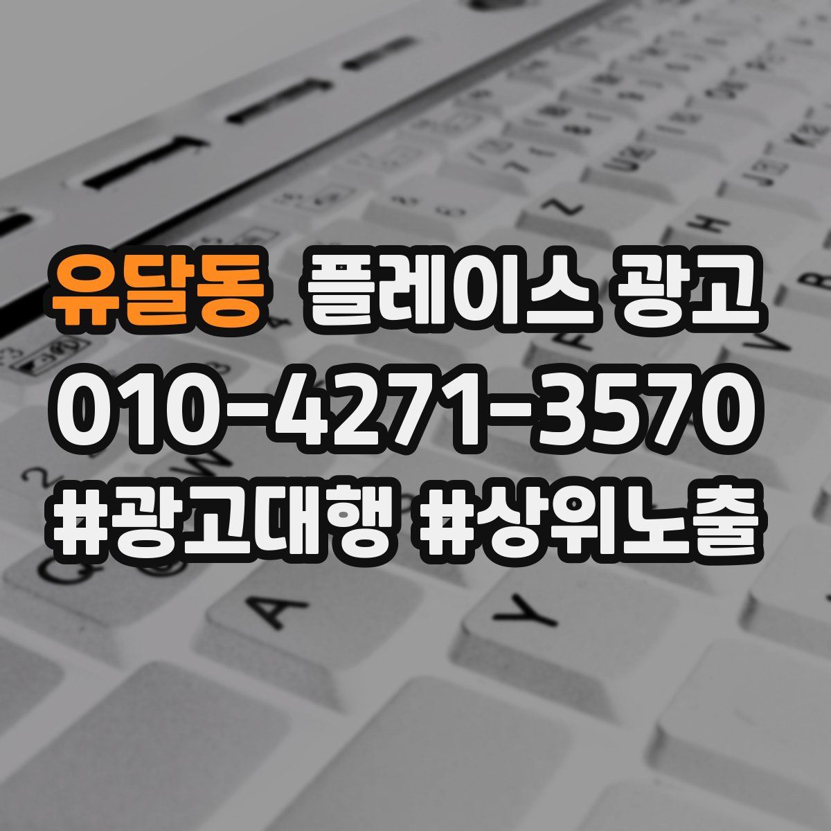 유달동 플레이스 광고