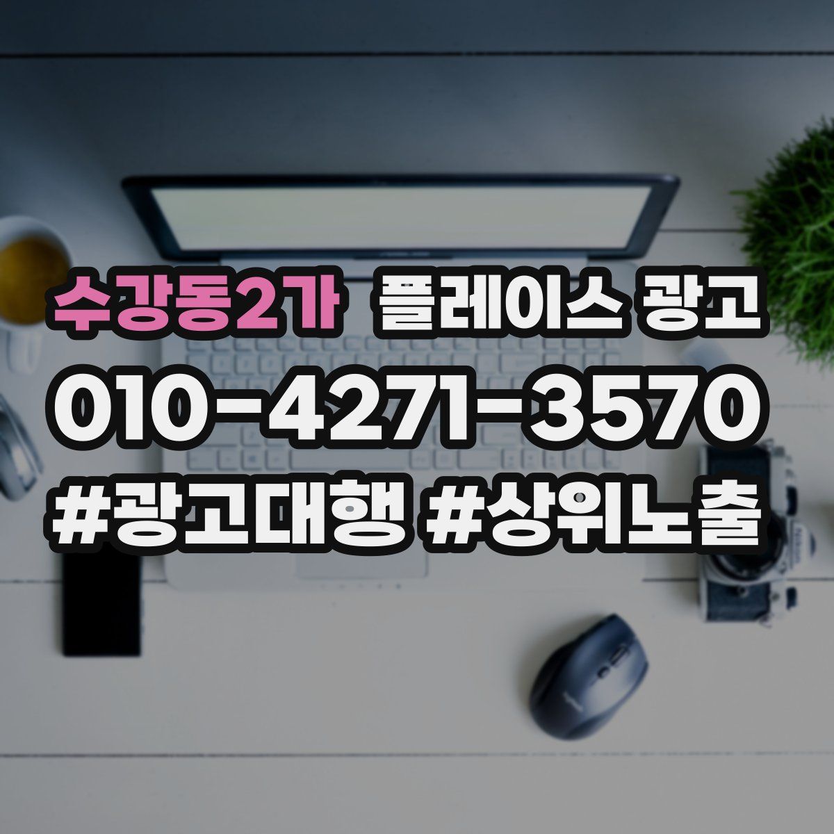 수강동2가 플레이스 광고
