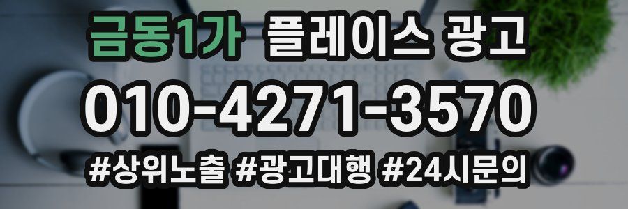 금동1가 플레이스 광고