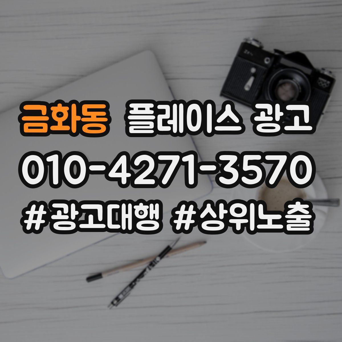 금화동 플레이스 광고