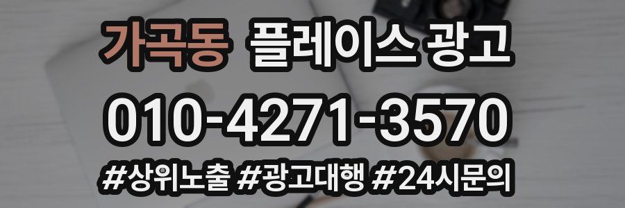 가곡동 플레이스 광고