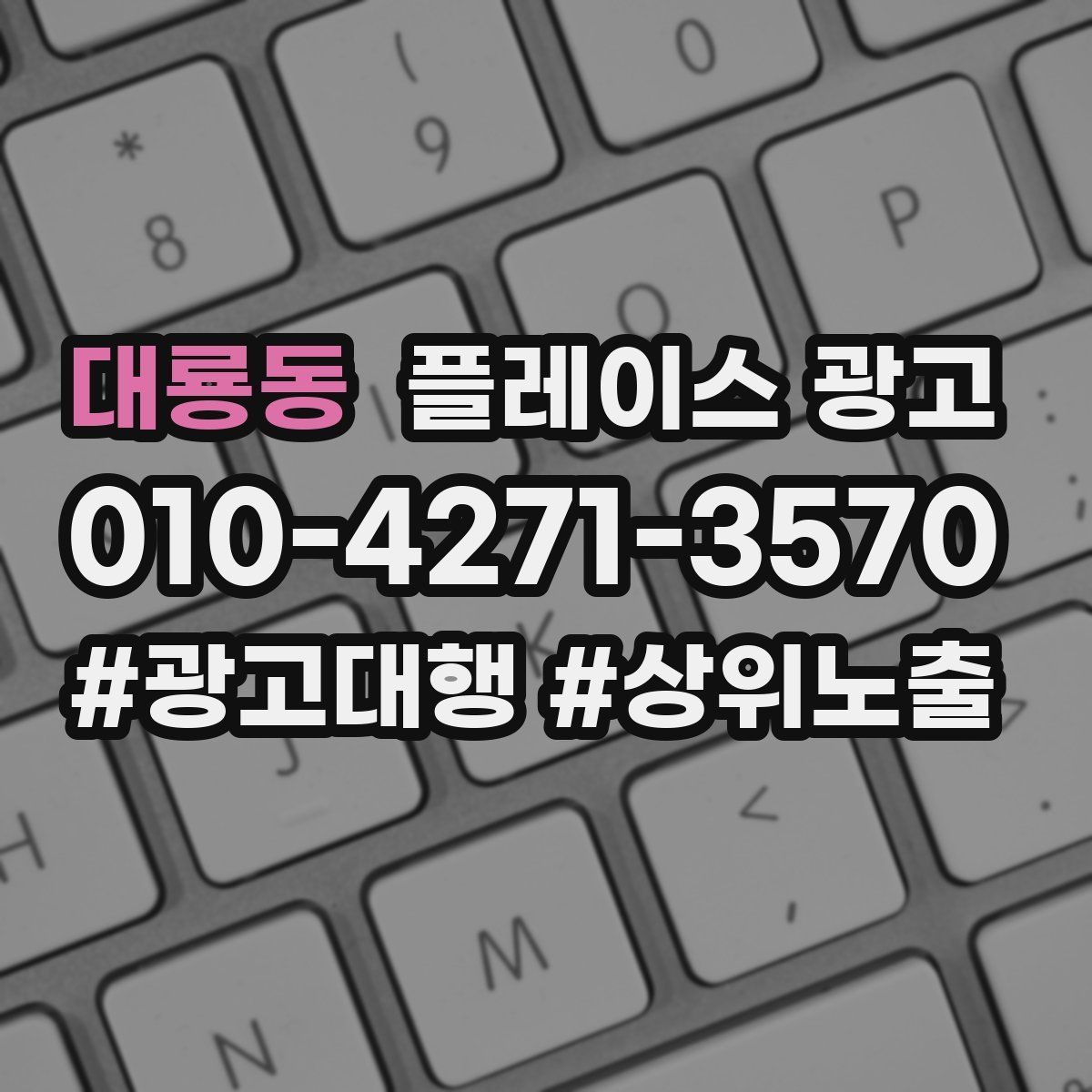 대룡동 플레이스 광고