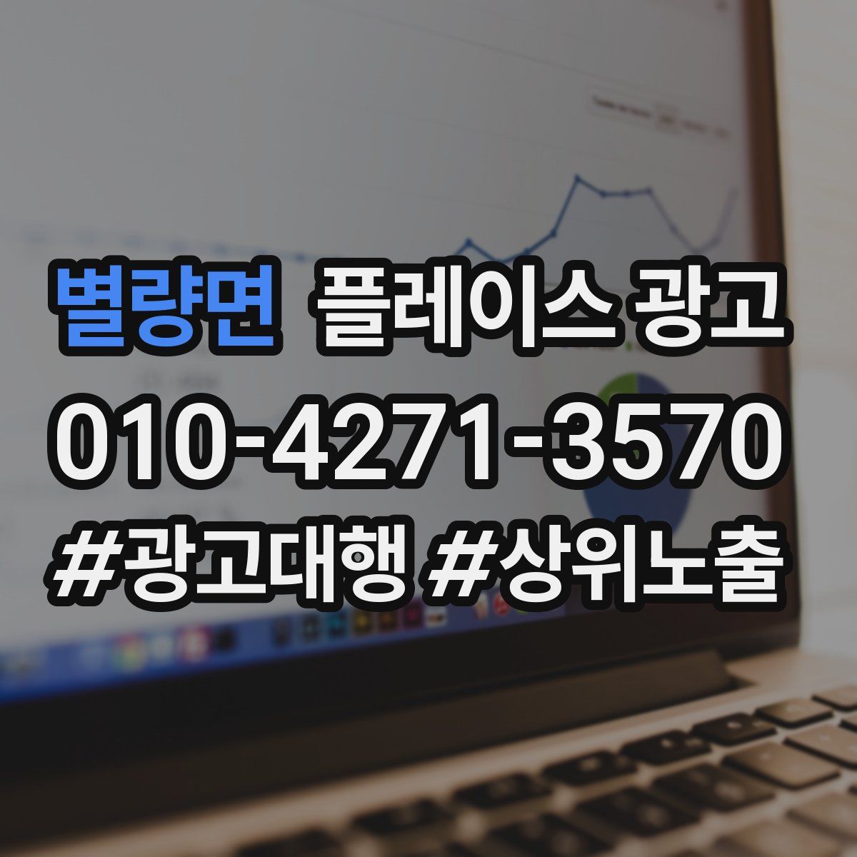 별량면 플레이스 광고