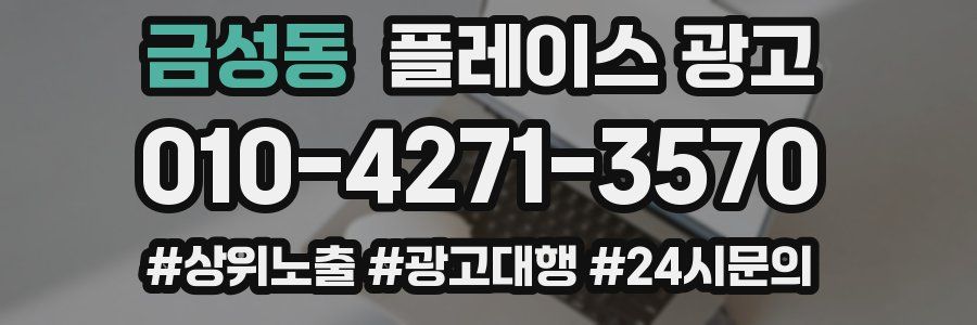 금성동 플레이스 광고